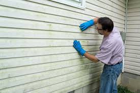 Best Custom Siding Design  in Hollister, CA